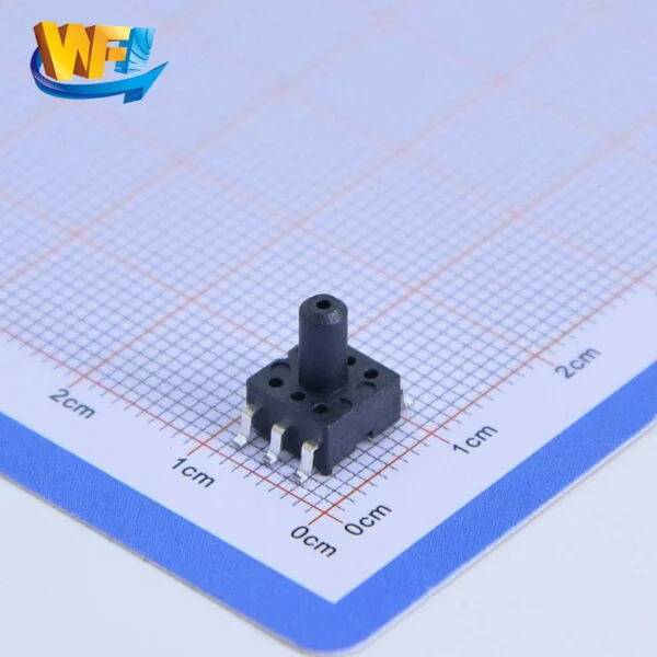 WF100DPZ 1BG S6DT