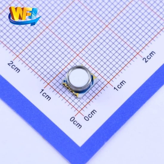 WF5803C Digital Model Absolute Pressure Sensor 30Bar WF5803C Digital Model Absolute Pressure Sensor 30Bar